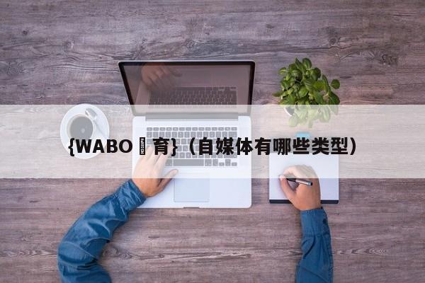 {WABO體育}（自媒体有哪些类型）