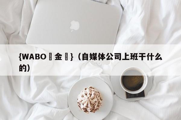{WABO現金網}（自媒体公司上班干什么的）