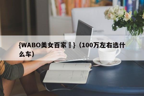 {WABO美女百家樂}（100万左右选什么车）